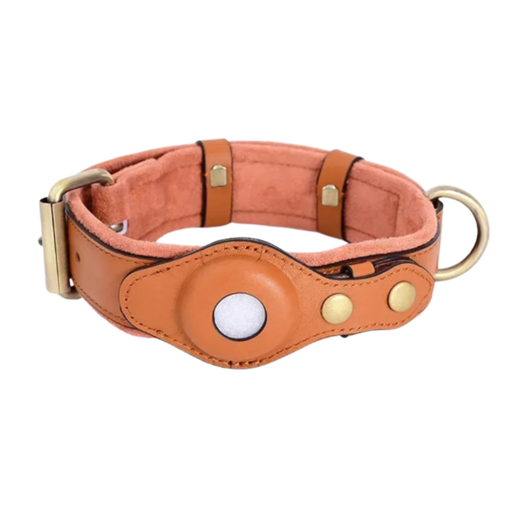 Pawcket™
