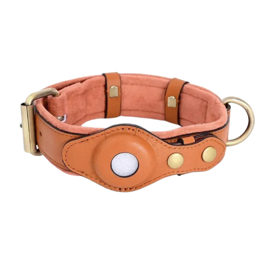 Pawcket™