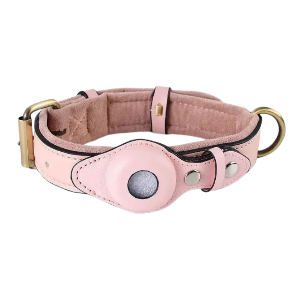 Pawcket™