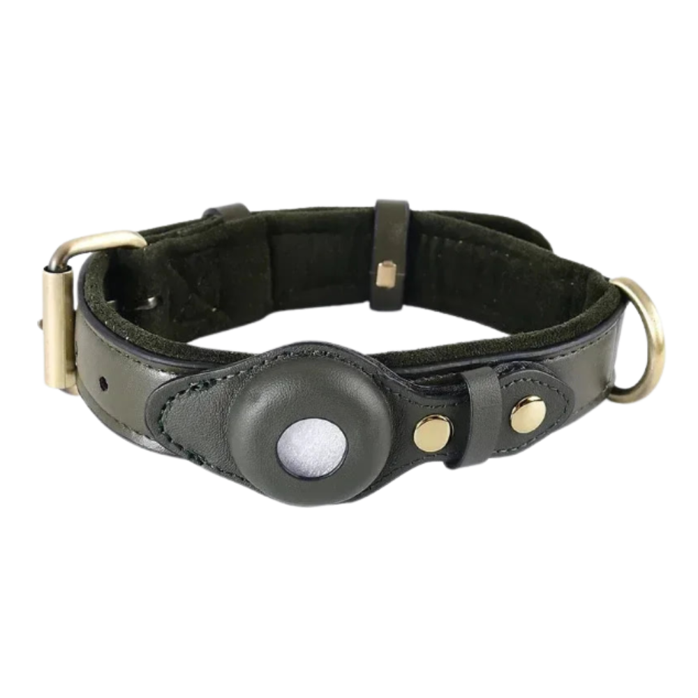 Pawcket™